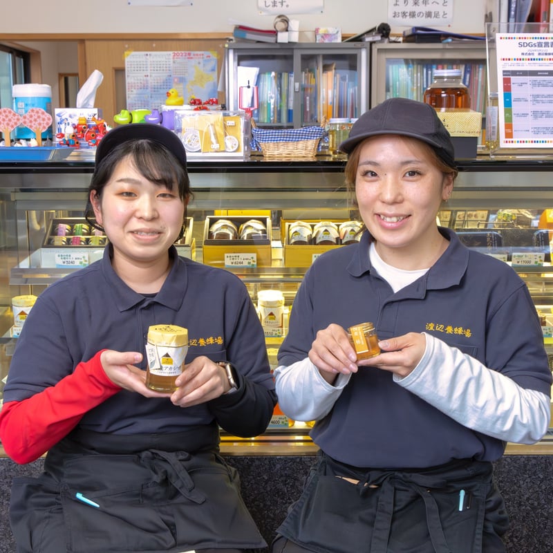 天然のおいしさを食べ比べ｜国産 季節のはちみつセット【渡辺養蜂場