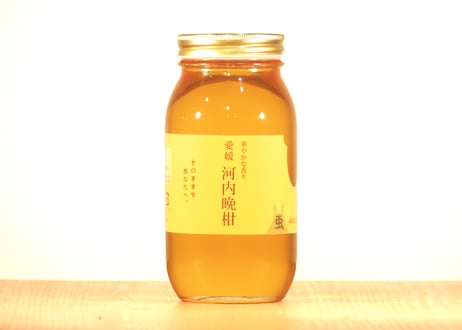 【愛媛 河内晩柑】1000g　　嵐のはちみつ