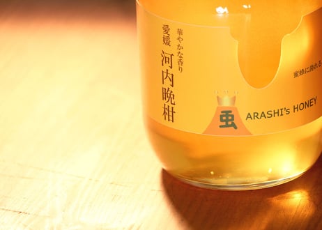 【３種 セット】500g　　　　嵐のはちみつ