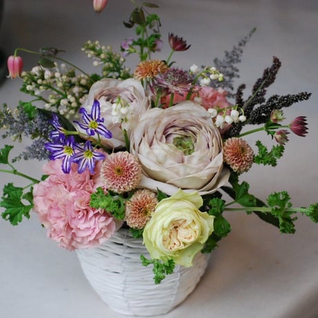 nicoflower