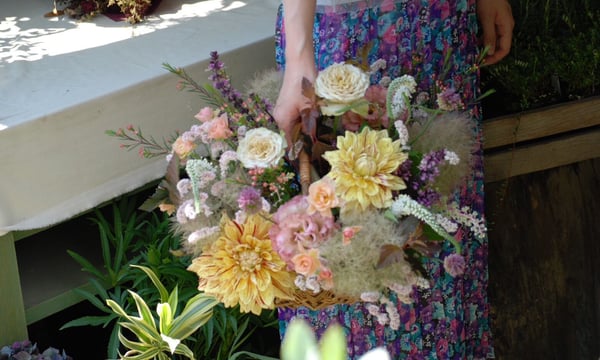 nicoflower