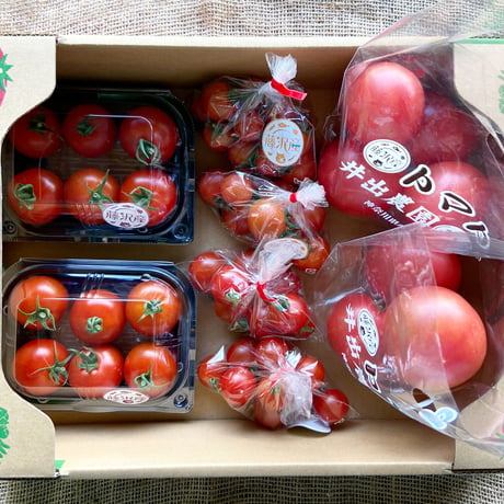 湘南野菜 | STORES