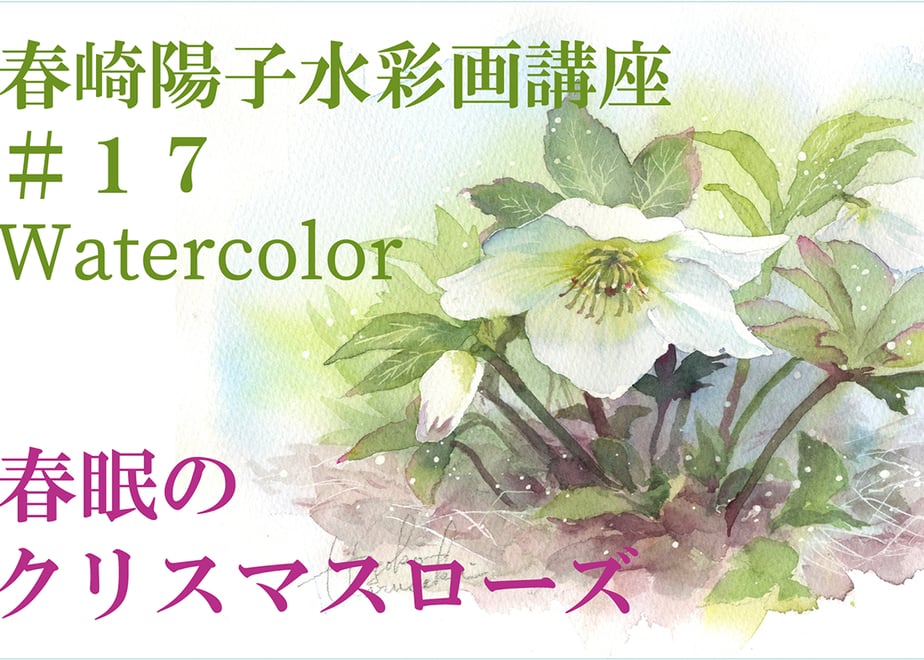 6248f511688c44032e43cb40