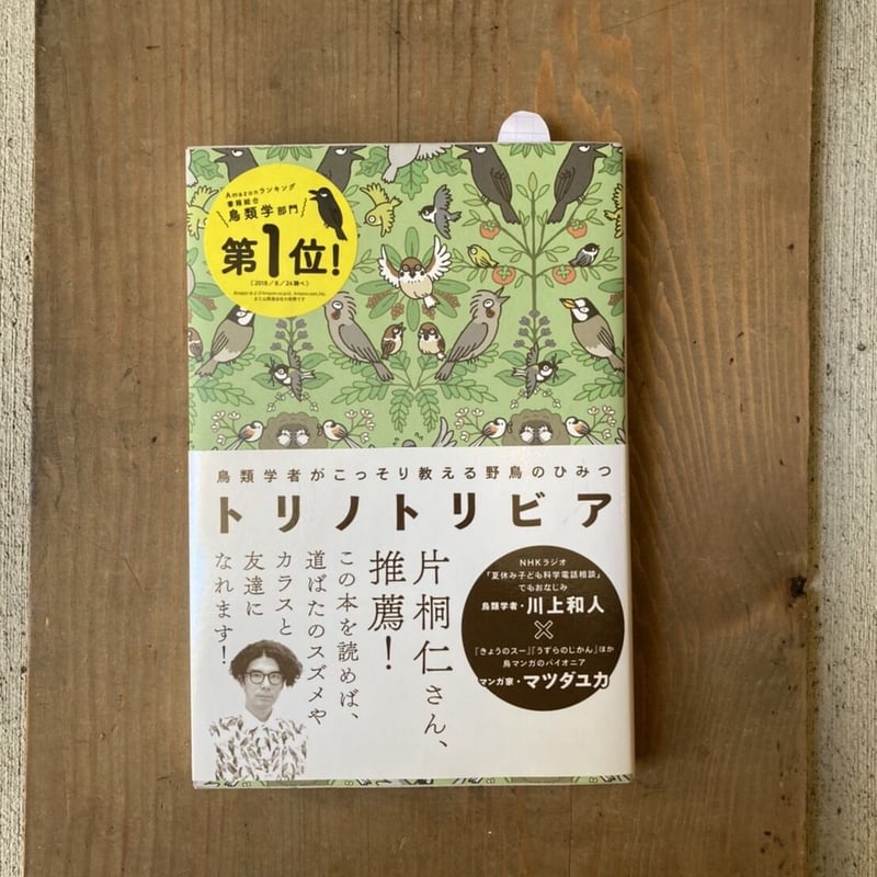 トリノトリビア 鳥類学者がこっそり教える 野鳥のひみつ | ヒトヤ堂