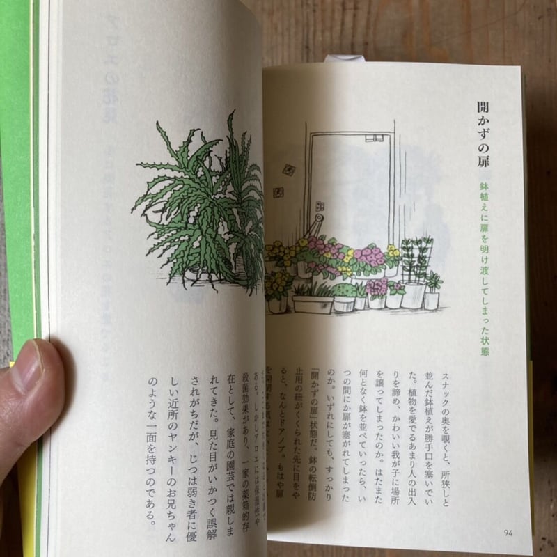 石に咲く花 田村一二 大雅堂 昭和18年5版 村田あやこさんサイン本〉はみだす緑 黄昏の路上園芸 | ヒトヤ堂