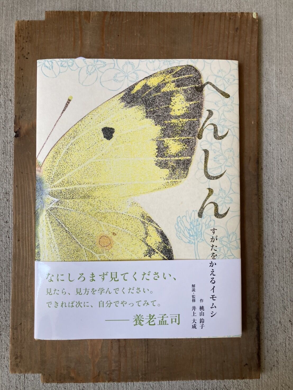 イモムシの夢 芋虫の夢の意味、芋虫は幸運の兆し？芋虫のスピリチュアル