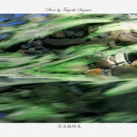 渓流超特急
