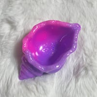 貝トレー　M