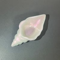 貝トレー　Aタイプ　S