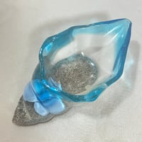 貝トレー