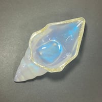貝トレー　Aタイプ　M