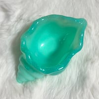 貝トレー　M