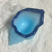 貝トレー　L