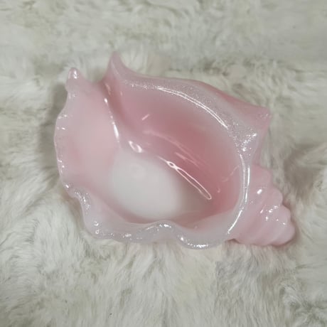 貝トレー