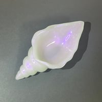 貝トレー　Aタイプ　L