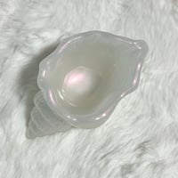貝トレー　L