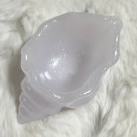 貝トレー　M