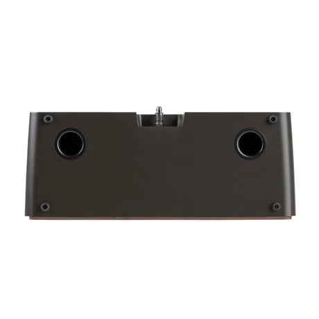 R2mk4 Smart Music System【ruarkaudio（ルアークオーディオ）】
