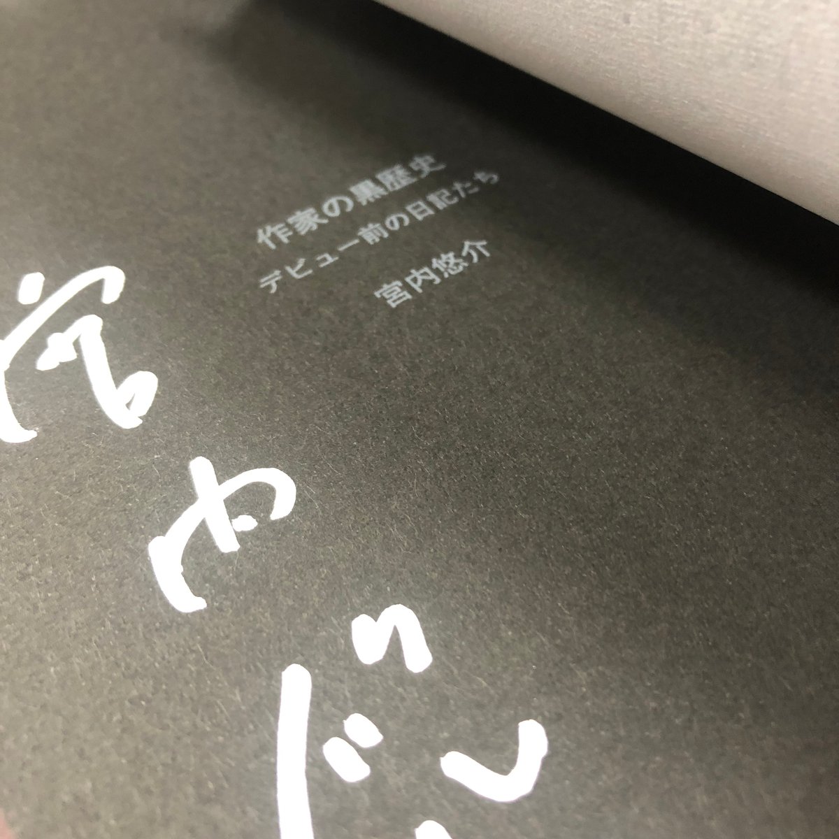 希少 ビンテージ 稚城 水墨画 鯰 ナマズ 直筆サイン 肉筆 印章 料亭 日本画 41D6IKj7cvL.jpg_BO30,255,255,