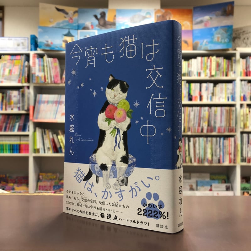 水庭れん『今宵も猫は交信中』（初版）直筆サイン本 | 流泉書房