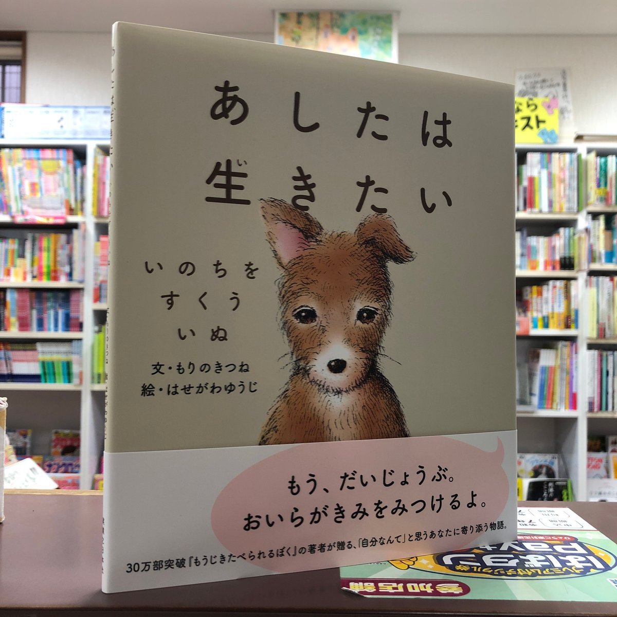 はせがわゆうじ 直筆サイン入り】 『あしたは生きたい』（初版