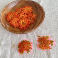 乾燥よもぎ2キロ 綿よもぎ よもぎ蒸し 100g よもぎ 奈良産 乾燥よもぎ お風呂に