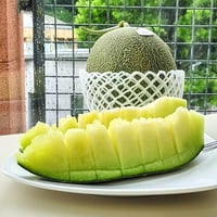 5【送料無料（北海道・沖縄以外）】肥後グリーンメロン（２玉セット）
