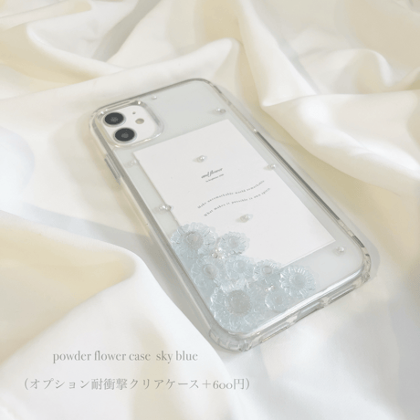 Aurora powder flower case 🌷