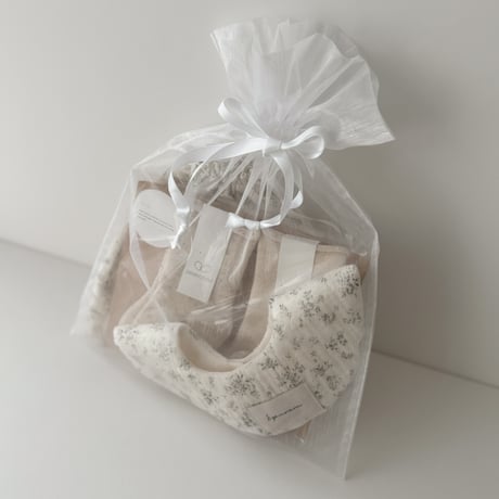 gift bag