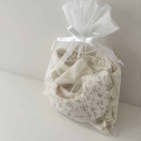 gift bag