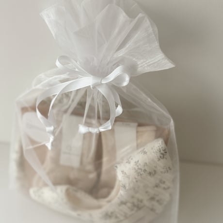 gift bag