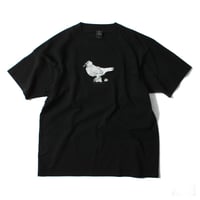 【KAOL（DWS,eight one one）】鳩ぽっぽ ＜Black＞