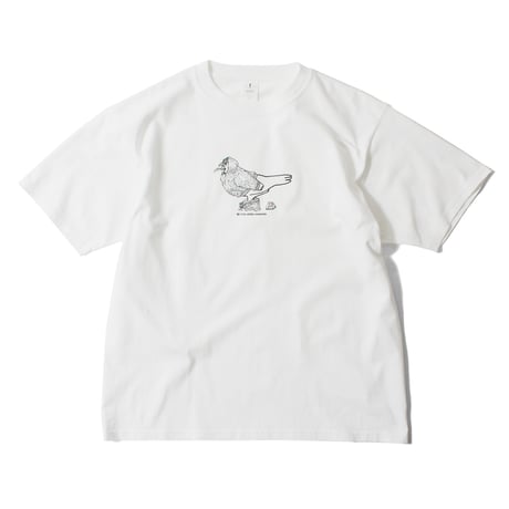 【KAOL（DWS,eight one one）】鳩ぽっぽ ＜White＞
