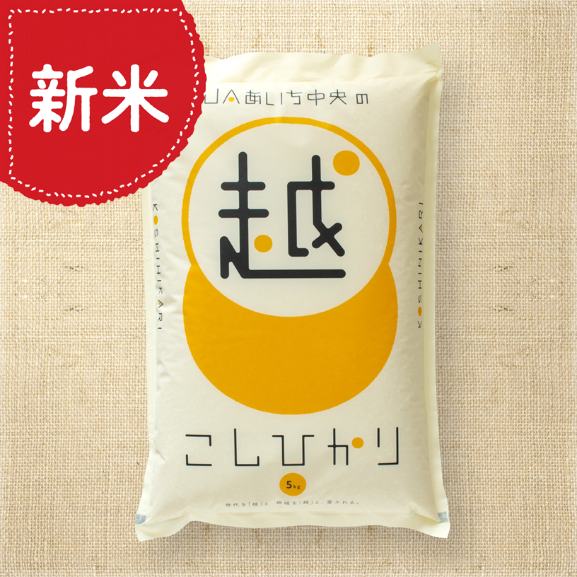 【愛知県産】コシヒカリ白米5kg ★令和5年産新米!