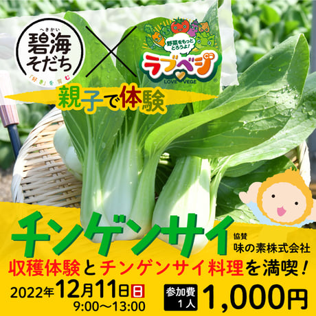 【令和4年12月11日（日）開催】『親子で体験　チンゲンサイ』 協賛：味の素株式会社【愛知県安城市で開催】