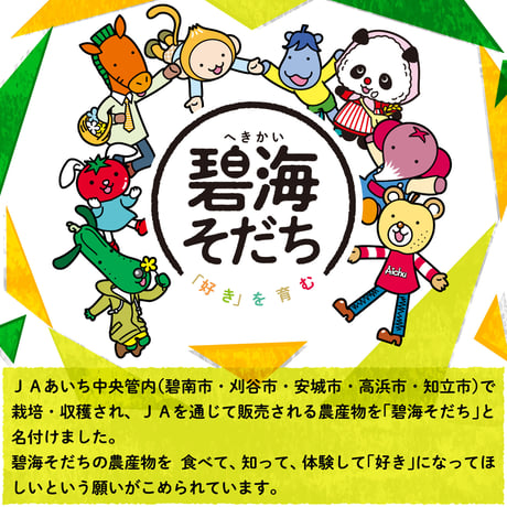 【愛知県安城市/刈谷市産他】安城梨『あきづき』　2㎏箱・7玉入り