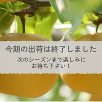 【愛知県安城市/刈谷市産他】安城梨『豊水』　3㎏箱・6～8玉入り
