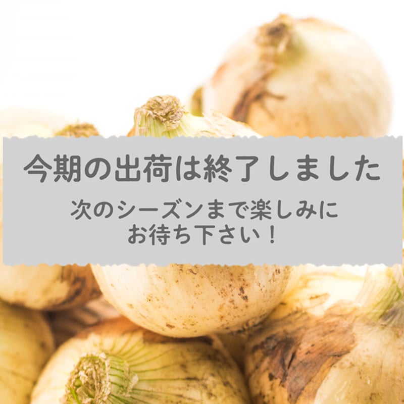 愛知県碧南市産】タマネギ『へきなんサラダたまねぎ』10㎏箱・L