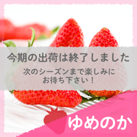 【愛知県安城市産】安城いちご『ゆめのか』 2パック入箱（7～12玉入・250g/平パック）