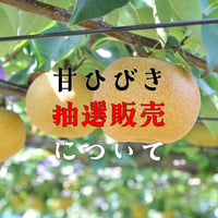 甘ひびき抽選販売について