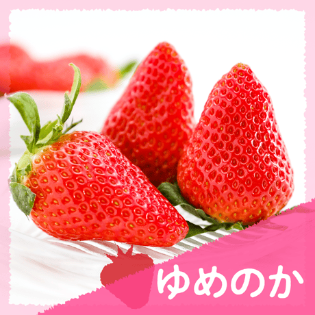 【愛知県安城市産】安城いちご『ゆめのか』 2パック入箱（7～12玉入・250g/平パック）