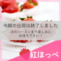 【愛知県安城市産】安城いちご『紅ほっぺ』 2パック入箱（7～12玉入・250g/平パック）