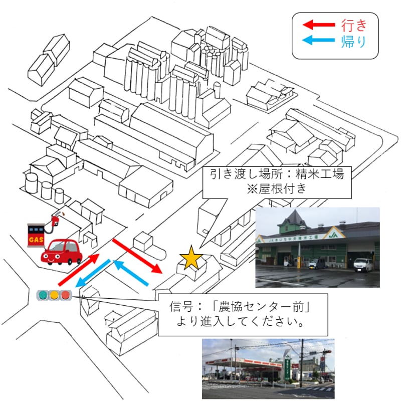 8/1（土）10：00～12：00引渡し】低温蔵出し玄米ミルキークイーン30kg