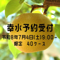 【愛知県安城市/刈谷市産他】安城梨『幸水』　3㎏箱・6-8玉入り