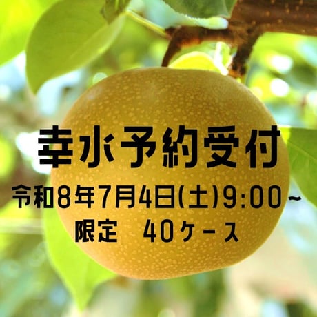 【愛知県安城市/刈谷市産他】安城梨『幸水』　3㎏箱・6-8玉入り