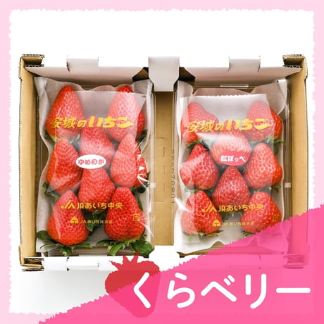 【愛知県安城市産】安城いちご『くらベリー』 2パック入箱（7～12玉入・250g/平パック）