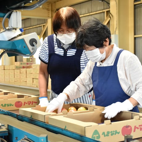 【愛知県碧南市産】へきなんトマト　4㎏箱・Ⅼサイズ（20玉入）