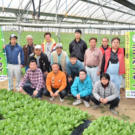 【令和4年12月11日（日）開催】『親子で体験　チンゲンサイ』 協賛：味の素株式会社【愛知県安城市で開催】