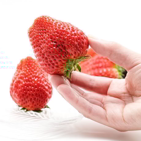 【愛知県安城市産】安城いちご『メガベリー』 2パック入箱（4～6玉入・250g/平パック）【3週間限定商品】