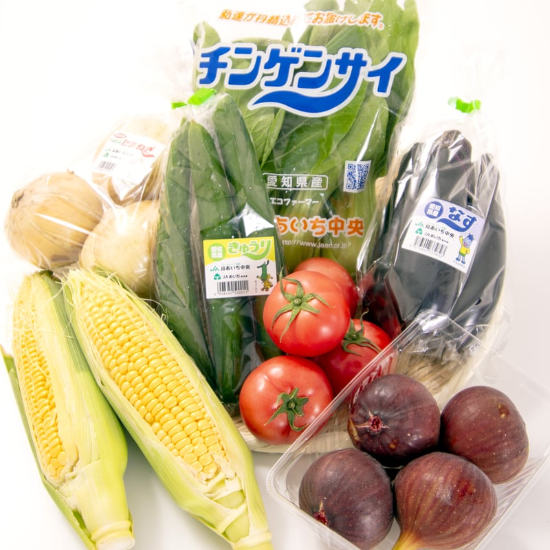 定期便・1ヶ月毎】あおみっ子ハッピーボックス | JAあいち中央